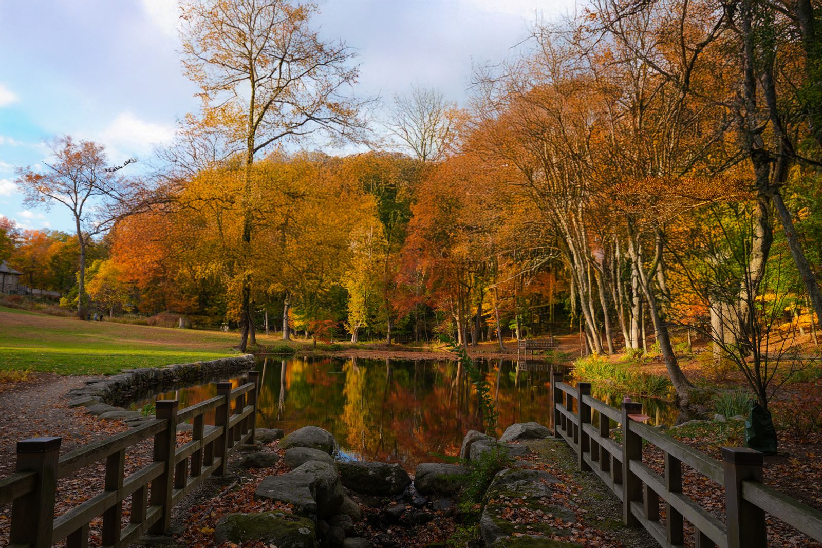 Connecticut autumn pond and foliage